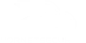 Hornetsecurity
